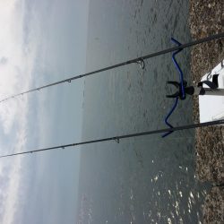 kissできませんでした、、、