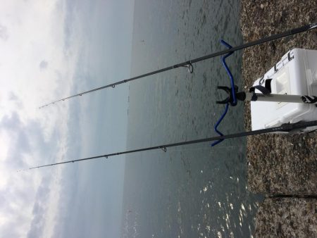 kissできませんでした、、、