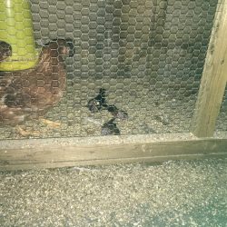 夕やけ眺め、２時間の釣り