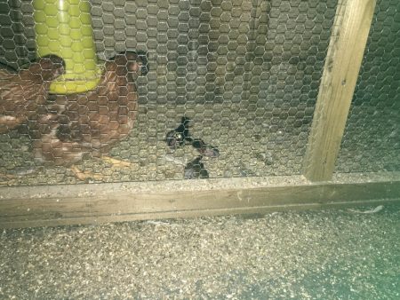 夕やけ眺め、２時間の釣り