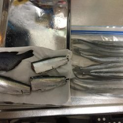 周南 戸田桑原漁港