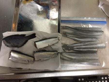 周南 戸田桑原漁港