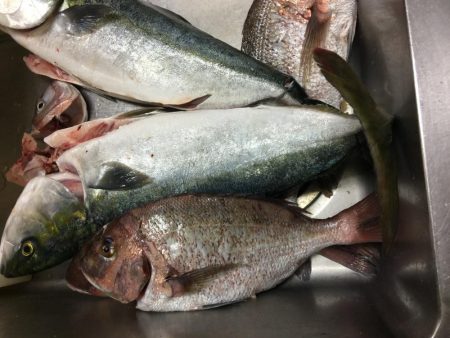 釣り堀シーユー