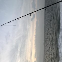 明石沖ジギング