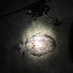 結局は腕やっさ！