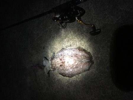 結局は腕やっさ！