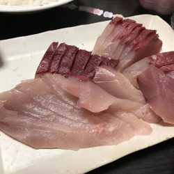 初メジロゲット!!