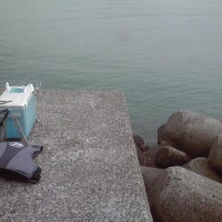 メッキ、ジャンボアジ、カイズ等