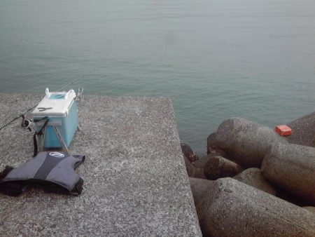 メッキ、ジャンボアジ、カイズ等