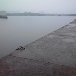 ジャンボアジ（尺アジ）4匹