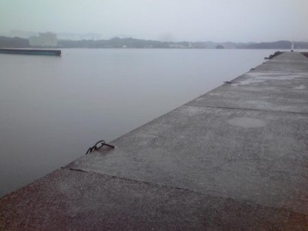 ジャンボアジ（尺アジ）4匹