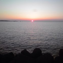 サビキでジャンボアジ（尺アジ）