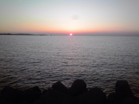 サビキでジャンボアジ（尺アジ）