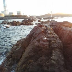 グレ小さかった・・コツパ・小イサキ沢山・・