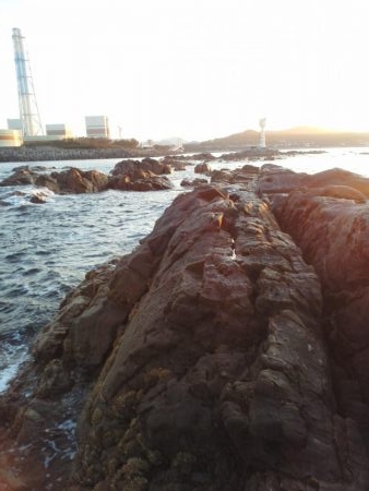 グレ小さかった・・コツパ・小イサキ沢山・・