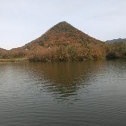 冬間近ですが青野バスは元気です。