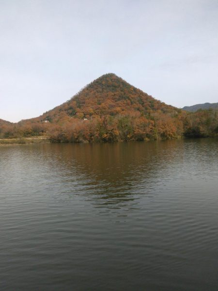 冬間近ですが青野バスは元気です。