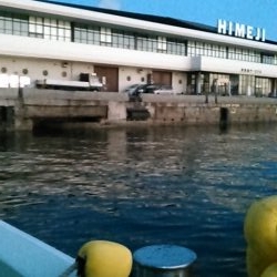 海上釣り堀水宝で青物狙い