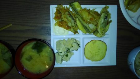 コスモスクエア夜サビキ