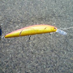 朝練　60分1本勝負！！