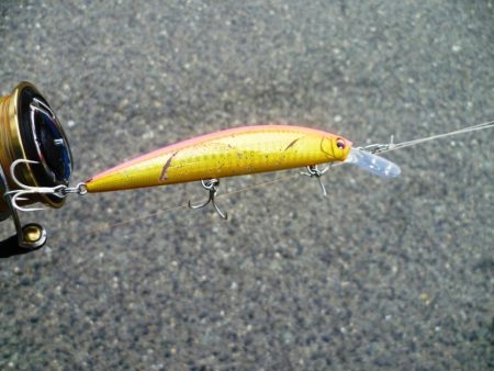 朝練　60分1本勝負！！