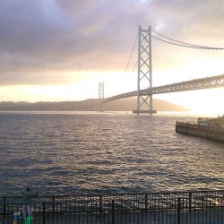 サヨリ入れ食い！