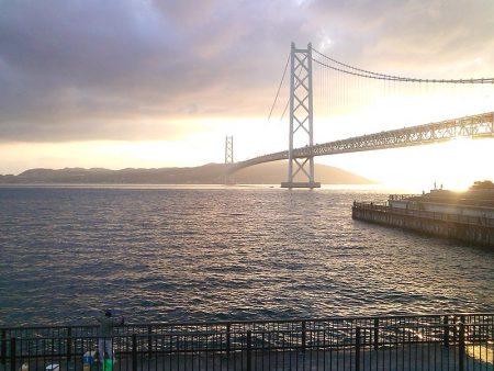 サヨリ入れ食い！