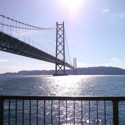 グレ2枚ゲット!