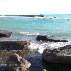 チヌ49.5cmゲット！