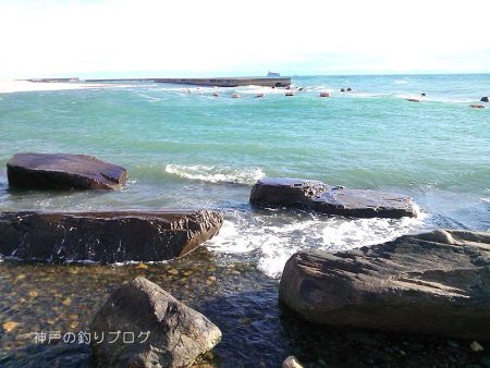 チヌ49.5cmゲット！