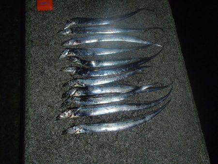 西宮ケーソン釣行