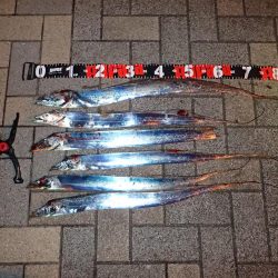 遅めのラッシュタイムにウハウハ♪