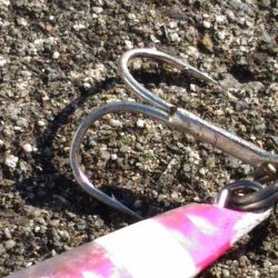 鳴門のゴロタでハマチ