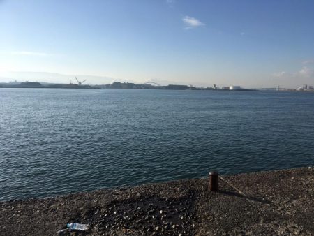大阪岸和田忠岡の貯木場でヘチ釣り後にショアジギングでハマチをゲット！！