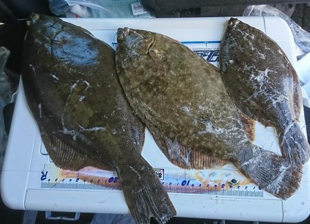 キス釣り、カレイ釣り