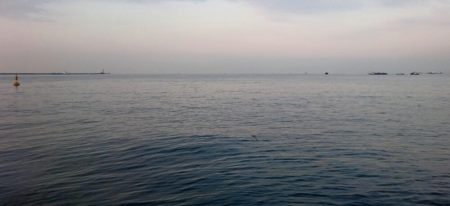 ◯タチウオと何これ！？