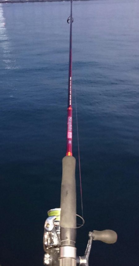 南港タチウオまだまだまだ釣れる