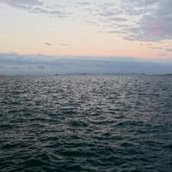 ◯タチウオこのまま終了か！？