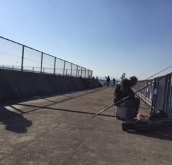 青物釣れず。。。