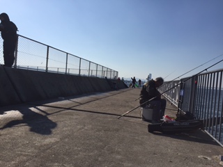 青物釣れず。。。