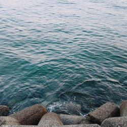 タイミング重要