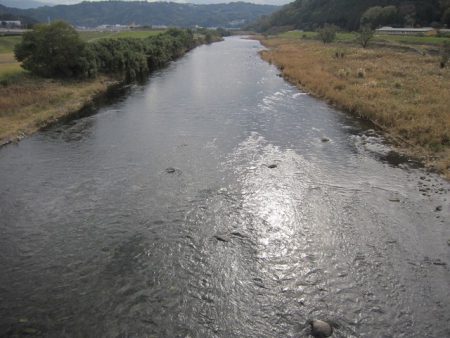 狩野川(狩野川漁業協同組合) 釣果