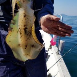 Magic(マジック) 釣果