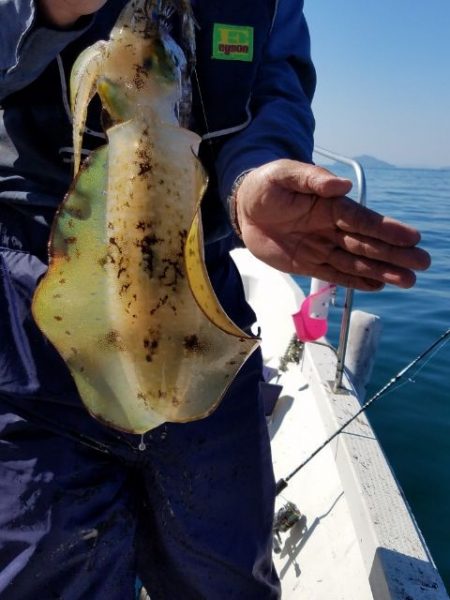 Magic(マジック) 釣果