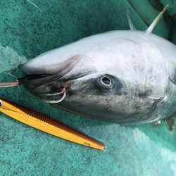 広進丸 釣果