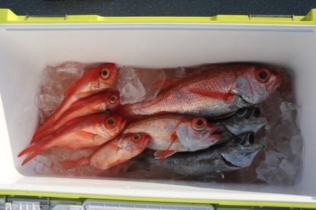 へいみつ丸 釣果