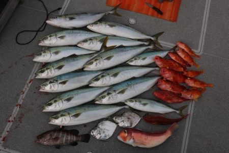 へいみつ丸 釣果