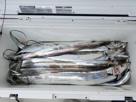 遊漁船　ニライカナイ 釣果