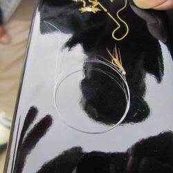 狩野川(狩野川漁業協同組合) 釣果