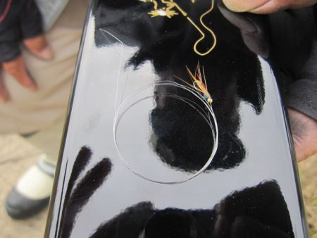 狩野川(狩野川漁業協同組合) 釣果